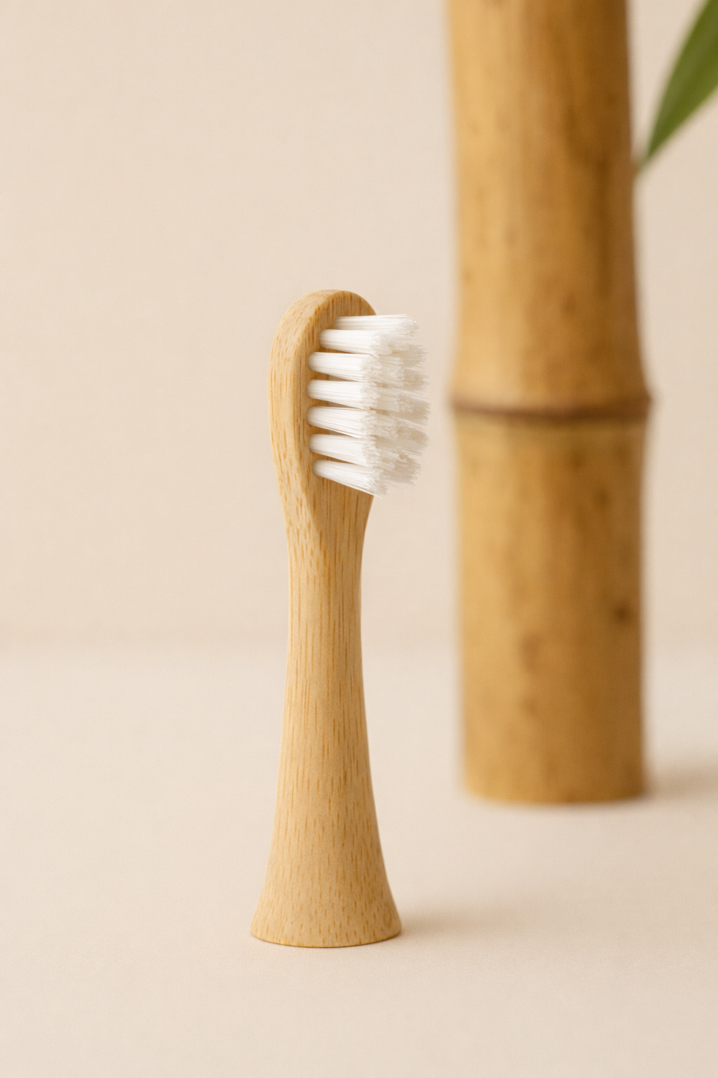 Brosse à dents électrique - Wooden